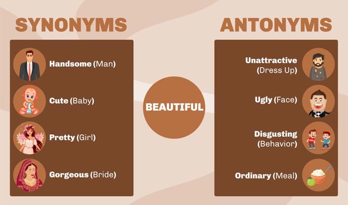 Synonyms and Antonyms