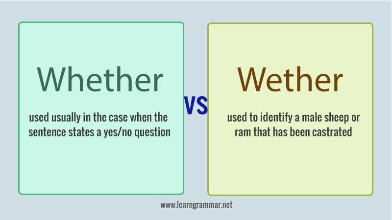 Whether vs Wether